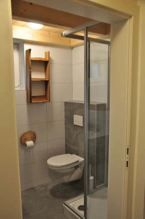 Duschbereich und WC im Badezimmer
