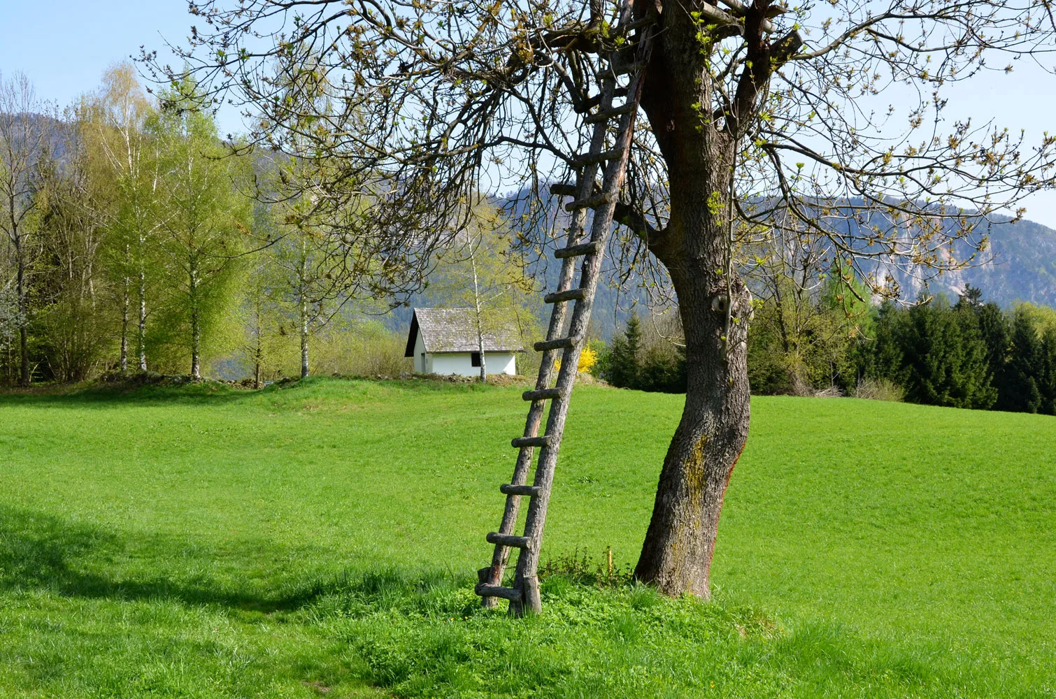 Grüne Wiese bei Arnoldstein mit einer kleinen Kapelle