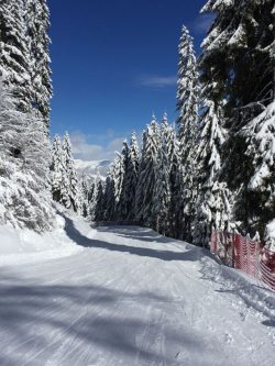 Skiën in Oostenrijk